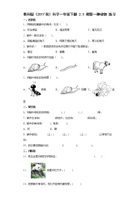 小学教科版 (2017)3.观察一种动物精品习题