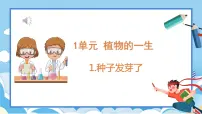 科学三年级下册1 种子发芽了多媒体教学ppt课件