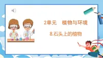 科学三年级下册8 石头上的植物教课内容ppt课件