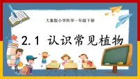 科学一年级下册1 认识常见植物获奖ppt课件