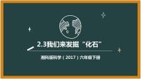 科学六年级下册第二单元 化石3 我们来发掘“化石”课文ppt课件