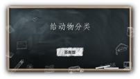 四年级上册1 给动物分类授课ppt课件