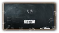 小学科学苏教版 (2017)四年级上册第一单元 动物大家族3 鸟类课文课件ppt