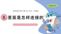 小学科学5.里面是怎样连接的优秀课件ppt