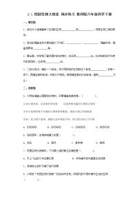 小学科学教科版 (2017)六年级下册1.校园生物大搜索课时练习