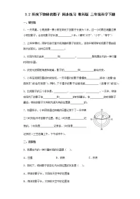小学科学教科版 (2017)三年级下册2.阳光下物体的影子同步达标检测题