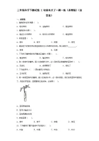 小学科学苏教版 (2017)三年级下册2 幼苗长大了习题