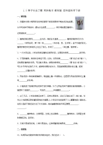 小学科学教科版 (2017)四年级下册3.种子长出了根练习