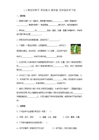 小学6.果实和种子练习