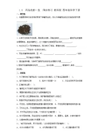教科版 (2017)四年级下册8.凤仙花的一生同步达标检测题