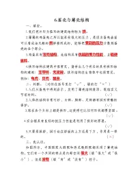 小学科学苏教版 (2017)五年级下册6 蛋壳与拱形建筑练习