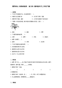 湘科版 (2017)三年级下册第四单元 植物的秘密1 植物的“身体”综合训练题