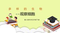 小学科学第12课 观察细胞优秀课件ppt