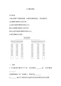 湘科版 (2017)三年级下册2 根的奥秘课后测评