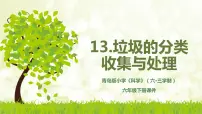 小学科学青岛版 (六三制2017)六年级下册垃圾的分类收集与处理教学ppt课件