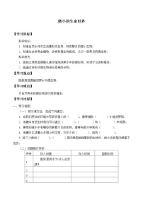 小学科学粤教粤科版 (2017)五年级下册第2单元 微观生命世界10 微小的生命世界学案