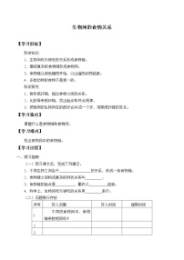 小学科学16 生物间的食物关系学案