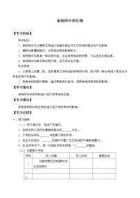 科学粤教粤科版 (2017)17 食物网中的生物导学案