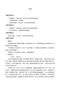 科学三年级下册23 台风教案