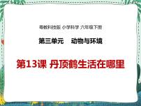 小学科学13 丹顶鹤生活在哪里说课课件ppt