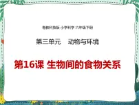小学科学粤教粤科版 (2017)六年级下册16 生物间的食物关系多媒体教学课件ppt