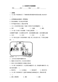 小学科学教科版 (2017)六年级下册3.形形色色的植物练习题