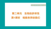 科学六年级下册5.相貌各异的我们习题课件ppt