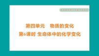 小学6.生命体中的化学变化习题课件ppt