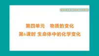 小学6.生命体中的化学变化习题课件ppt