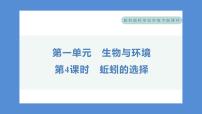 科学五年级下册4.蚯蚓的选择习题课件ppt