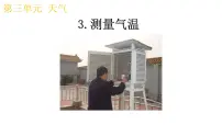 科学三年级上册3.测量气温评优课教学ppt课件