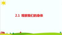 科学二年级下册1.观察我们的身体课文课件ppt