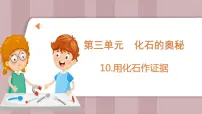 小学苏教版 (2017)10 用化石作证据教学演示课件ppt