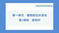 科学四年级下册4.茎和叶习题课件ppt