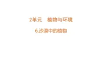苏教版 (2017)三年级下册6 沙漠中的植物优秀教学课件ppt