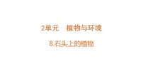 小学科学苏教版 (2017)三年级下册8 石头上的植物优秀教学课件ppt