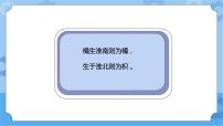 小学科学青岛版 (六三制2017)四年级下册13 不同环境中的植物获奖ppt课件