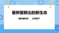 小学科学教科版三年级下册1.蚕卵里孵出的新生命完美版ppt课件