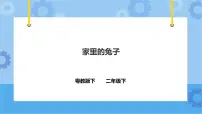 科学粤教粤科版 (2017)第1单元 身边的动物4 家里的兔子优质ppt课件