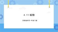 小学科学苏教版 (2017)一年级下册11.多姿多彩的植物精品课件ppt
