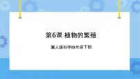 小学科学冀人版 (2017)四年级下册第二单元 植物的生长与繁殖6 植物的繁殖精品备课课件ppt