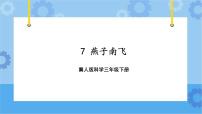 科学三年级下册7 燕子南飞一等奖ppt课件