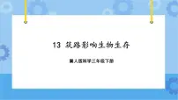 小学科学冀人版 (2017)三年级下册13 筑路影响生物生存优质课件ppt