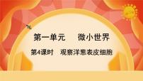 科学六年级上册4.观察洋葱表皮细胞完美版ppt课件