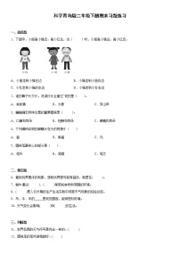 青岛版六三制科学二年级下册期末习题练习