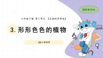 教科版 (2017)六年级下册3.形形色色的植物课堂教学ppt课件