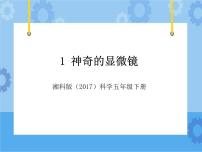 科学五年级下册第一单元 探秘生物体的基本结构1 神奇的显微镜优秀教学ppt课件