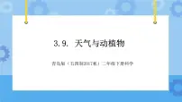 青岛版 (五四制2017)二年级下册9 天气与动植物图文ppt课件
