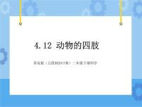 小学科学青岛版 (五四制2017)二年级下册12 动物的四肢图文课件ppt