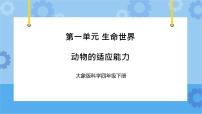 小学科学大象版 (2017)四年级下册4 动物的适应能力优秀ppt课件